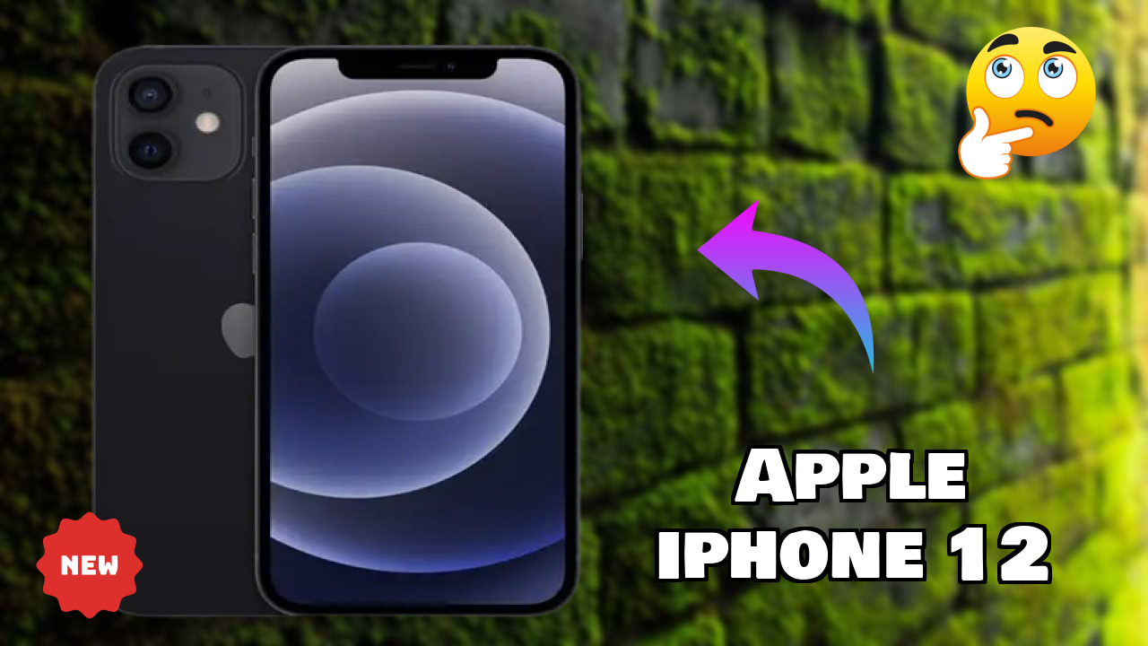 Apple IPhone 12 Camera Review: 12 MP + 12 MP Rear Camera Photo Test